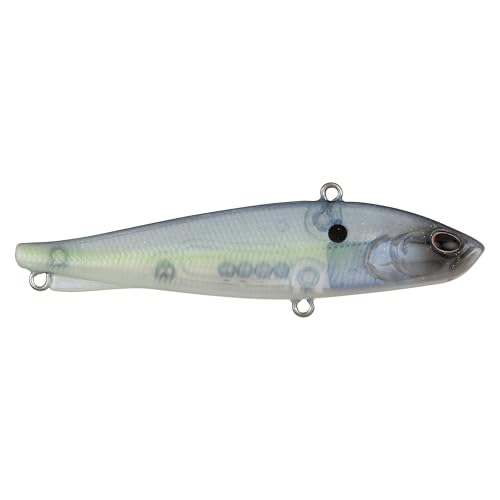 Berkley Ripfish - color: Ghost Sexy Shad, size: 3 1/2 in - 3/4 oz