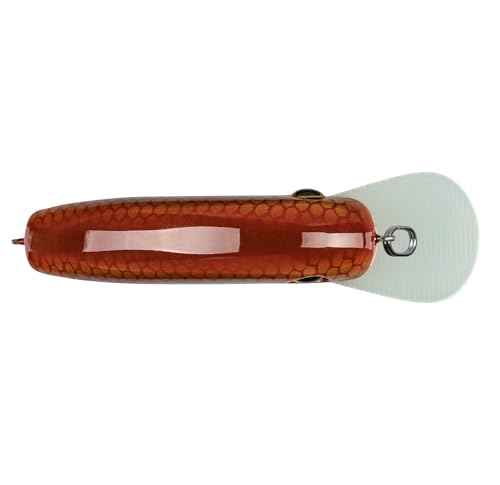 Strike King Chick Magnet Jr. Crankbait Fishing Lure, 1/4 oz, Dives 4-6 Feet, Premium Hooks - color: Baby Carp