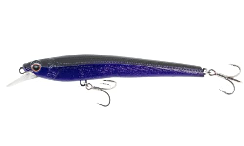 Nomad Design Shikari Fishing Lure, Long-Casting, Shallow Diving Slow Floating Jerkbait for Inshore Saltwater Species Such as Snook, Redfish, Striped Bass, Seatrout - style: Black Purple, 5 3/4 Inch - 1 Oz