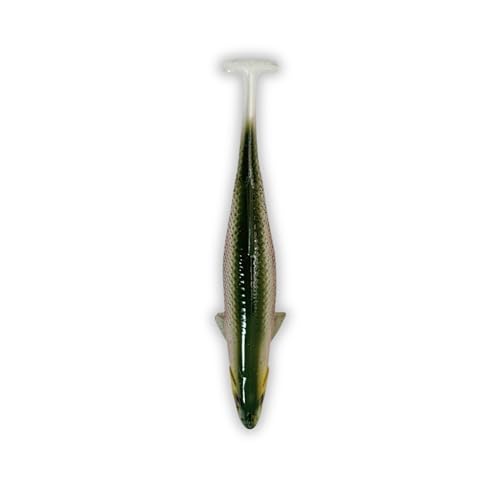 USA Bass Tackle Magnum Swimbait - Paddle Tail Swimbaits Pre Rigged Fishing Lures Premium Lure with Strong Owner Hook, Magdraft Style Bait for Giant Freshwater Predator Fish - color: HD Trout