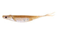 Nomad Design Cobra Shad Soft Plastic Minnow 4 Pack, with Adjusta-Ball Tungsten Weights, Fishing Lure - color: Pink Shiner