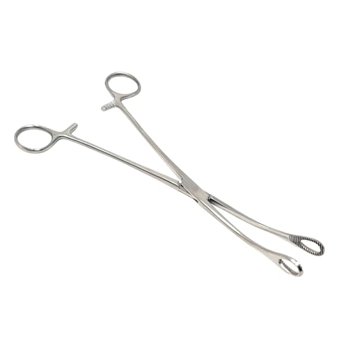 Foerster Sponge Forceps Straight + Curved Serrated Loop Jaws Holding Instruments Body Piercing Locking Clamps, Stainless Steel (9.5" - Curved) - style: 9.5" - Curved