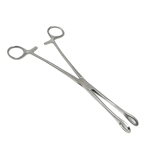 Foerster Sponge Forceps Straight + Curved Serrated Loop Jaws Holding Instruments Body Piercing Locking Clamps, Stainless Steel (9.5" - Straight) - style: 9.5" - Straight