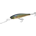 LUCKY CRAFT SW Pointer 100XD, Saltwater Fishing Lure, Jerkbait, Tournament Winning, Deep Diver, Fishing Gear, Fishing Accessories, Fishing Tackle - color: 269 BE Gill