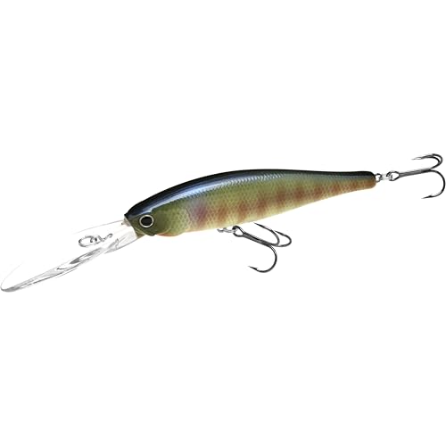 LUCKY CRAFT SW Pointer 100XD, Saltwater Fishing Lure, Jerkbait, Tournament Winning, Deep Diver, Fishing Gear, Fishing Accessories, Fishing Tackle - color: 269 BE Gill