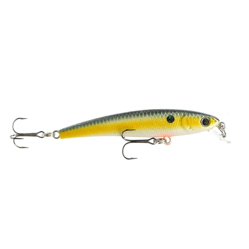 Trout Magnet Trout Crank Top Water Fishing Bait, Runs 2-4 Feet Depth with Small Rattles for High Effectiveness, Great Fishing Lure for Freshwater - color: Southern Belle, size: 2.5"