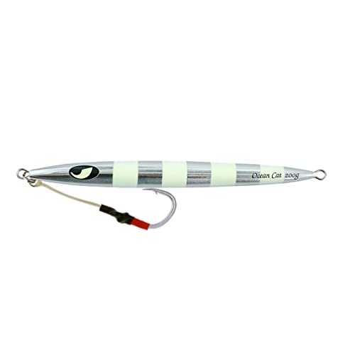 OCEAN CAT Slow Pitch Jig Flat Fall Jig Saltwater Fishing Luers Mental Vertical Jigging Baits with Hooks 5 Colors 4 Weights - color: #014:Silver, size: 17 2/3oz(500g)
