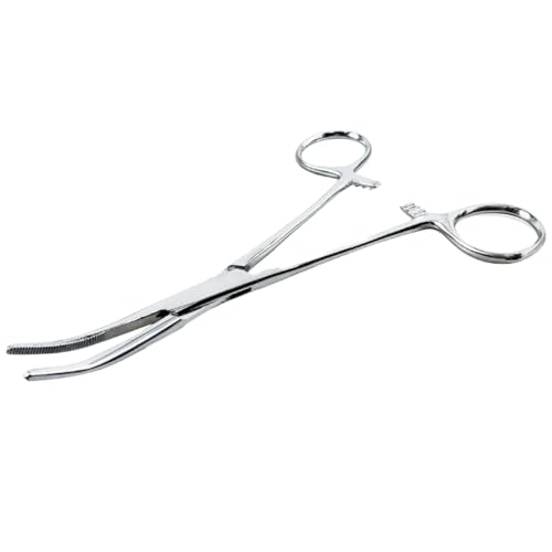 ADROIT 6" (15.2 cm) Curved Tip Stainless Steel Hemostat Forceps | Precision Teeth Grip | Versatile Use for First Aid, Crafting, & Electronics - size: 6", style: Curved