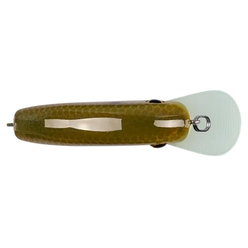 Strike King Chick Magnet Jr. Crankbait Fishing Lure, 1/4 oz, Dives 4-6 Feet, Premium Hooks - color: Green Gizzard Shad