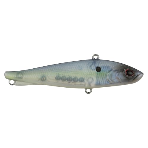 Berkley Ripfish - color: Ghost Sexy Shad, size: 2 3/4 in - 3/8 oz