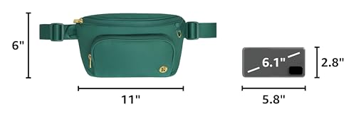 HUGGIES Unisex-Adult Diaper Waistpack Crossbody Bag - color: Alpine