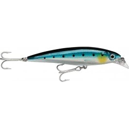 Rapala X-Rap Saltwater 10 Fishing Lures (Blue Sardine, Size- 4)