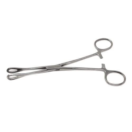 Foerster Sponge Forceps Straight + Curved Serrated Loop Jaws Holding Instruments Body Piercing Locking Clamps, Stainless Steel (7" - Straight) - style: 7" - Straight