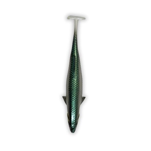 USA Bass Tackle Magnum Swimbait - Paddle Tail Swimbaits Pre Rigged Fishing Lures Premium Lure with Strong Owner Hook, Magdraft Style Bait for Giant Freshwater Predator Fish - color: Sexy Shad