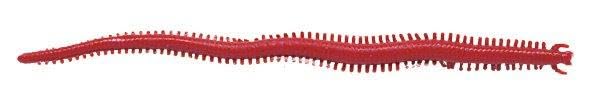 Berkley Gulp! Sandworm Saltwater Fishing Soft Bait, Camo, 2in, Green