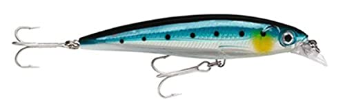 Rapala X-Rap Saltwater 10 Fishing Lures (Blue Sardine, Size- 4)
