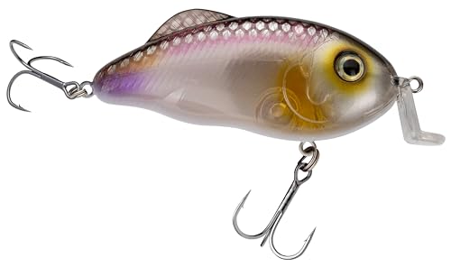 Strike King Hybrid Hunter Jr Crankbait Fishing Lure, 1/2 oz, Reflective 3D Eyes - color: Clearwater Minnow, size: 1/2 oz (Pack of 1)