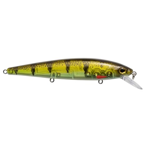 Strike King KVD Elite 300 Jerkbait Hard Bait Fishing Lure, Dives 4-7 Feet, Weight Transfer System - color: Pro Phantom Perch, size: Hook Size 4