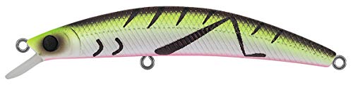 Daiwa Dr. Minnow Jerkbait – Ultra-Light Floating Fishing Lure for Freshwater & Trout – Realistic Action & Colors – 2" - 2.75-3.5" Sizes - color: Batta, size: 2 3/4 Inch 1/7 oz