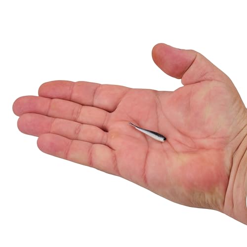 Berkley Gulp! Alive! Minnow Fishing Soft Bait - color: Black Shad, size: 1in - Jar