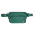 HUGGIES Unisex-Adult Diaper Waistpack Crossbody Bag - color: Alpine