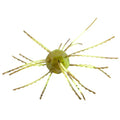 Strike King Tumbleweed Floating Fishing Lure, Finesse Creature Bait, 3-Inches, 4-Pack - color: Summer Craw