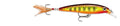 Rapala X-Rap Deep Jerkbait - color: Hot Mustard Muddler, size: 2-1/2"