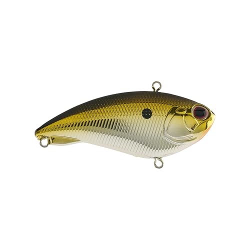 Berkley Jack - color: Gold Chrome, size: 2 1/2in - 1/2 oz