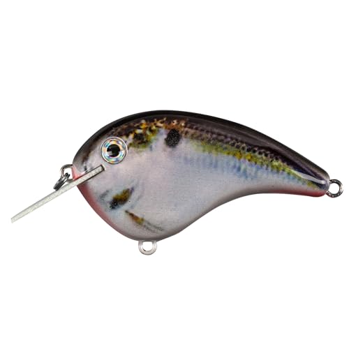 Strike King Chick Magnet Jr. Crankbait Fishing Lure, 1/4 oz, Dives 4-6 Feet, Premium Hooks - color: Natural Shad