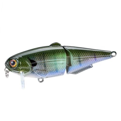 Strike King (HCWS2-822) Wake Shad Fishing Lure, Single Jointed Swimming Topwater Wakebait, 1-Ounce, Size 2 Treble Hooks, The Real Gill