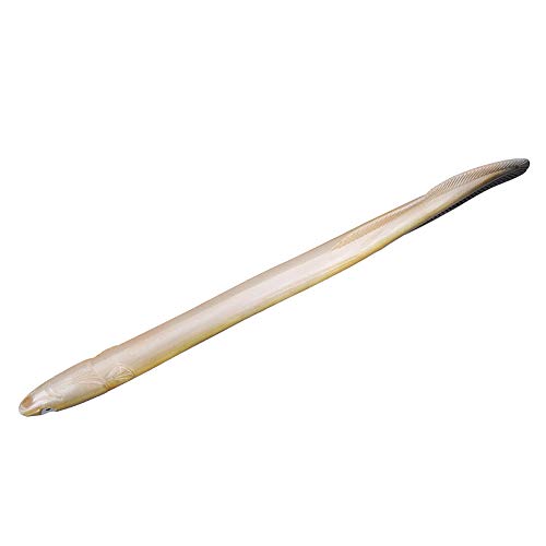 Dilwe Artificial EEL Bait, 1 Pc Big Soft EEL-Shaped Fishing Lure Bait for Freshwater Saltwater Fishing Fishing Supplies Bait