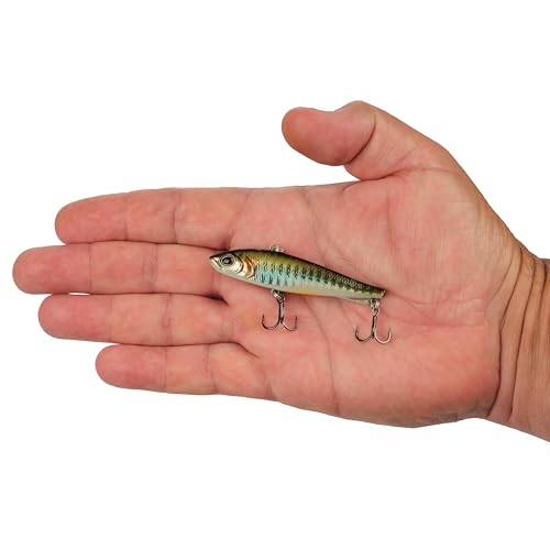 Berkley Ripfish - color: Dark Shiner, size: 2 3/4 in - 3/8 oz