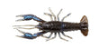 Savage Gear 4D Craw Fishing Soft Bait - color: Magic Craw, size: 4"