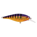 Berkley Flicker Shad Shallow - color: Slick Purple Bengal, size: 1/6 oz, 2"