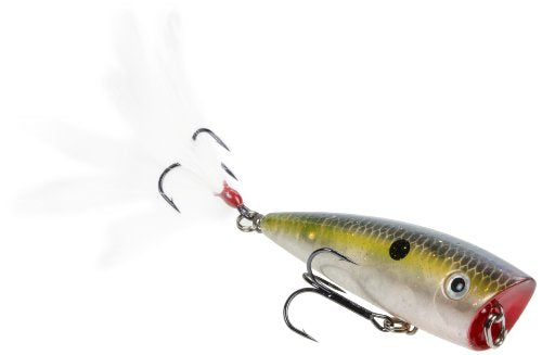 Strike King KVD Splash Hardbait Series Bait - color: Clear Ghost Sexy Shad, size: 3/8 oz