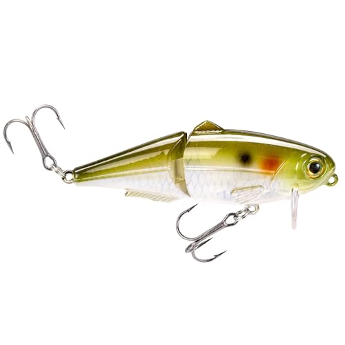 Strike King (HCWS2-864) Wake Shad Fishing Lure, Single Jointed Swimming Topwater Wakebait, 1-Ounce, Size 2 Treble Hooks, Ghost Herring