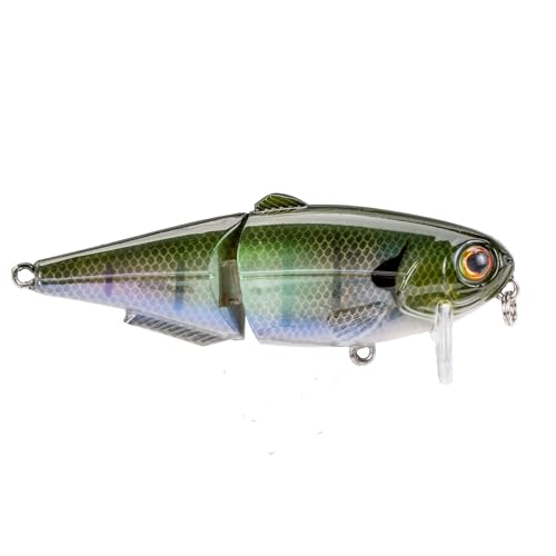 Strike King (HCWS2-822) Wake Shad Fishing Lure, Single Jointed Swimming Topwater Wakebait, 1-Ounce, Size 2 Treble Hooks, The Real Gill