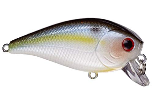 LUCKY CRAFT LC 1.5SSR, Wobbling Freshwater Lake Bass Fishing Bait - color: 183 Pearl Threadfin Shad