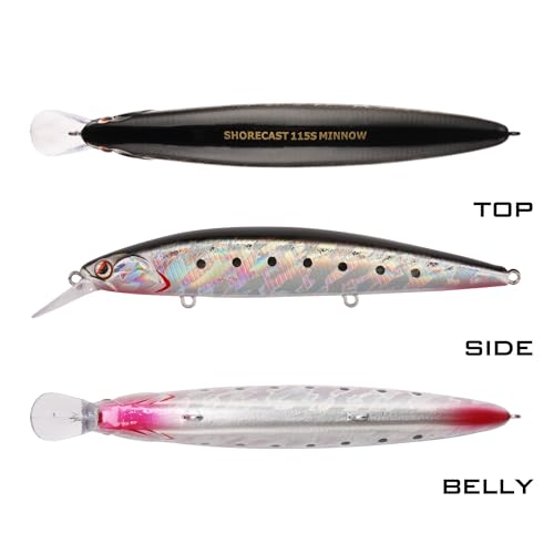 LITTMA Shore Cast 115 Saltwater Sinking Minnow Jerkbait Fishing Plug - color: Anchovy