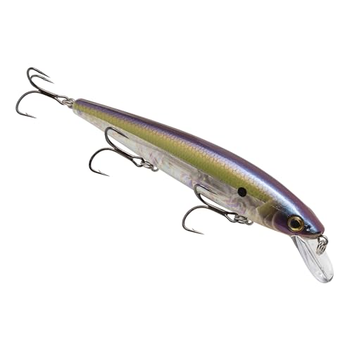 Strike King KVD Elite 300 Jerkbait Hard Bait Fishing Lure, Dives 4-7 Feet, Weight Transfer System - color: Pro TN Shad 2.0, size: Hook Size 4