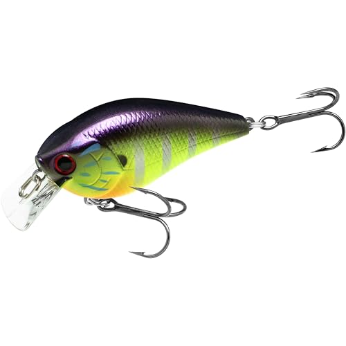 LUCKY CRAFT LC 1.5 Silent Squarebill Crankbait Fishing Lure, 2-3/8", Bass Fishing Lures for Freshwater, Hard Crankbait with Treble Fishing Hooks, Fishing Accessories - color: 303 Gorgeous Purple Chart Gill