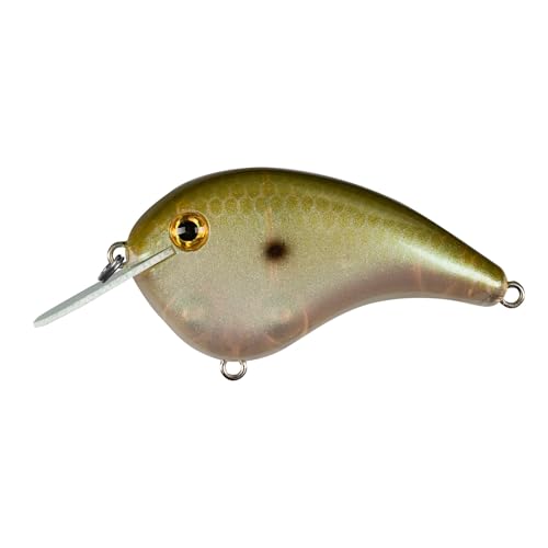 Strike King Chick Magnet Jr. Crankbait Fishing Lure, 1/4 oz, Dives 4-6 Feet, Premium Hooks - color: Green Gizzard Shad