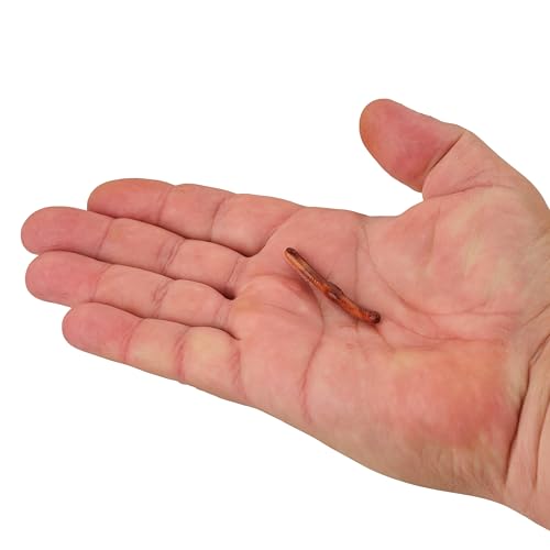Berkley Gulp! Alive! Fat Floating Trout Worm Fishing Soft Bait - color: Nightcrawler
