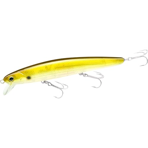 LUCKY CRAFT FlashMinnow 110, Saltwater Fishing Lures, Jerkbait Surf Fishing Accessories and Gear, 1-2 ft Slow Suspending Topwater Lure, Halibut and Bass - color: 239 Golden Shiner