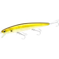 LUCKY CRAFT FlashMinnow 110, Saltwater Fishing Lures, Jerkbait Surf Fishing Accessories and Gear, 1-2 ft Slow Suspending Topwater Lure, Halibut and Bass - color: 239 Golden Shiner