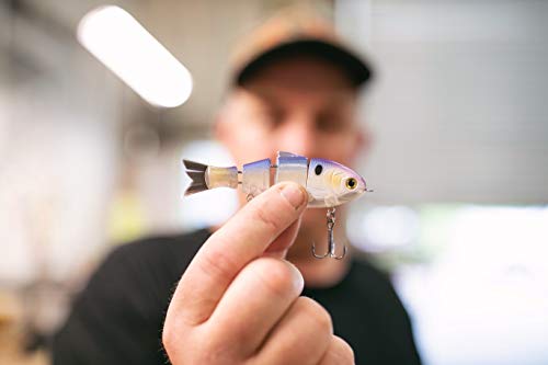 Catch Co Mike Bucca Baby Bull Shad Swimbait 3.75" 1/2 oz - color: Gizzard Shad