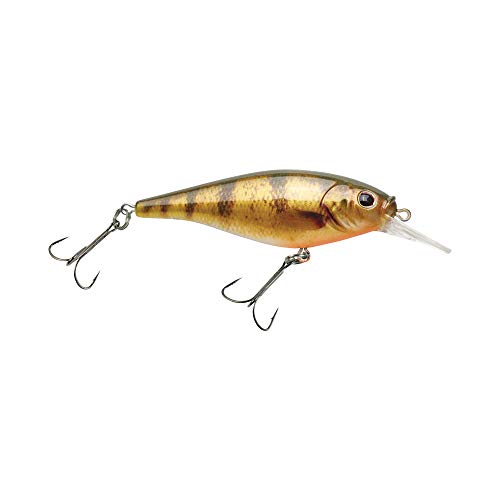 Berkley Flicker Shad Shallow - color: HD Yellow Perch, size: 2 3/4in - 2/7 oz