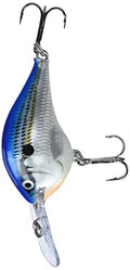 Rapala Dives-to 3/8 Oz Fishing Lures - color: Blue Shad, size: Body Length: 2"