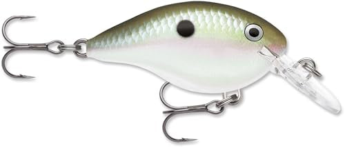 Rapala Rapala Dives to Shad - color: Green Gizzard Shad, size: Body Length: 2"