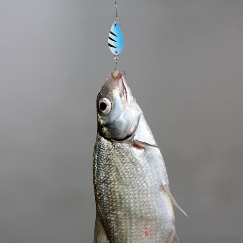 Fishing Lures,Fishing Spoons, Colorful Casting Fishing Spinner Hard Baits Tackle Single Hook for Trout Bass Salmon Freshwater Saltwater with Metal Hooks - color: 12pcs Multiple Colors